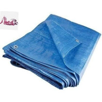 Abbasali Waterproof Ground Cover Tent Shelter, Dust-proof Rain Cover Tarpaulin Sheet, 12 x 12, Blue