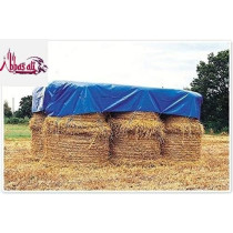 Abbasali Waterproof Ground Cover Tent Shelter, Dust-proof Rain Cover Tarpaulin Sheet, 12 x 12, Blue