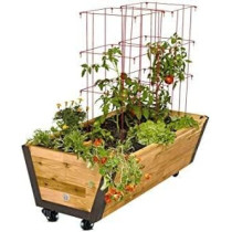 Abbasali Heavy Duty 2 Inch Swivel Caster Wheels, Polyurethane PU Casters with 360 Degree Top Plate, 600 LB Capacity, Pack of 4, Locking