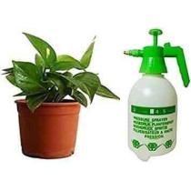 Abbasali Potting Soil 5Kg Organic, Includes Garden Tools Kit, Gloves, PVC Pots And 2L Pressure Sprayer for Indoor And Outdoor Plants