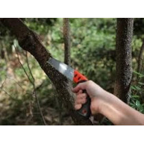 Abbasali Professional Double Cut Curved Pruning Saw, 270mm for Precision Cutting