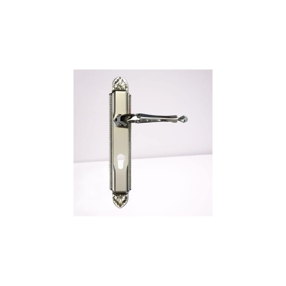 Abbasali Wooden Door Handle for Entrance and Interior Doors Vega Plate, Silver Model