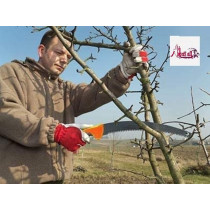 Abbasali Plastic Handle Garden Pruning Hand Saw, Ideal for Woodworking and Extendable Garden Scissors