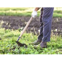 Abbasali Hoe with Handle, Durable Gardening Tool Made in India for Effective Soil Cultivation