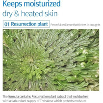 Pyunkang Yul Kids And Baby Sun Cream Spf50+, 75Ml 