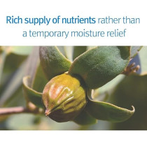 Pyunkang Yul Kids And Baby Sun Cream Spf50+, 75Ml 