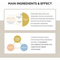Skin1004 Centella Soothing Cream, Soothing And Calming Cream With Centella Asiatica Extract, Ceramide And Madecassoside, 2.53 Fl.Oz (75Ml)
