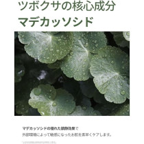 Round Lab Mugwort Calming Cream, 80Ml