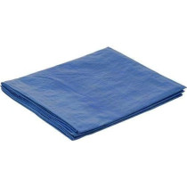 Abbasali Waterproof Ground Cover Tent Shelter, Dust-Proof And Rain Resistant Tarpaulin Sheet, 60x60, Blue
