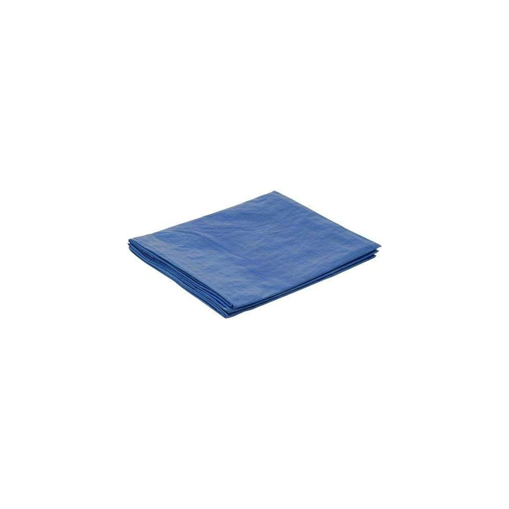 Abbasali Waterproof Ground Cover Tent Shelter, Dust-Proof And Rain Resistant Tarpaulin Sheet, 60x60, Blue