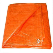 Abbasali Waterproof Tarpaulin Sheet, Dust-Proof, Ground Cover, Tent Shelter, and Rain Cover, 12x12 Feet, Orange