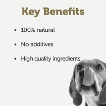 Applaws 156 g x 12 Taste Topper Broth Chicken Dog Tin