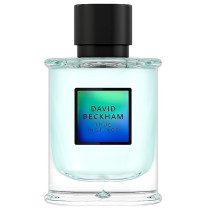 David Beckham True Instinct For Men Eau De Parfum, 75 Ml