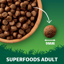 Harringtons 1.75kg Superfoods Turkey with Vegetables Adult Dry Dog Food