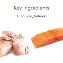 Applaws 70g Tin Tuna with Salmon in Jelly Senior Wet Cat Food