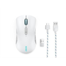 Lenovo Legion M600 Wireless Gaming Mouse, Iron Grey