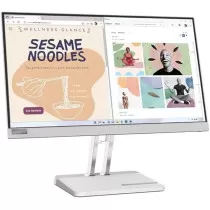 Lenovo Monitor L22e-40,...