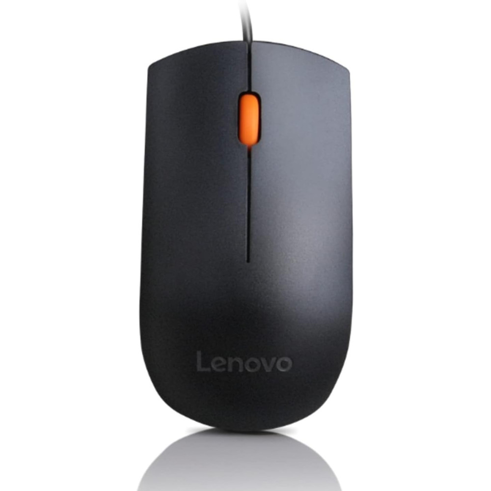 Lenovo Gx30M39704 300 USB Mouse, Black
