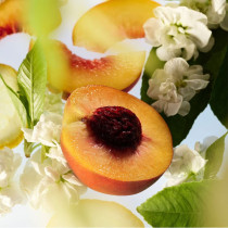 Find Comfort Body And Hair Fragrance Mist, Awaken Confidence, 100 Ml