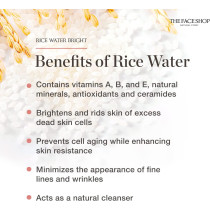 The Face Shop Rice & Ceramide Moisturizing Cream 50Ml