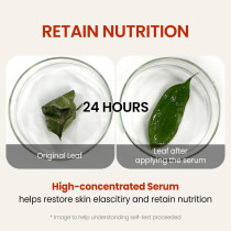 The Skin House Wrinkle Supreme Serum, 50Ml