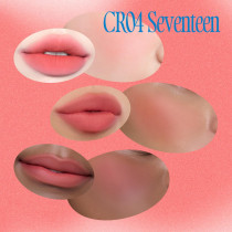 Fwee Lip And Cheek Blurry Pudding Pot Cr04 Seventeen 5G