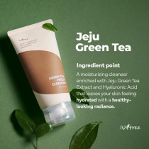 Isntree Green Tea Fresh Cleanser 120Ml