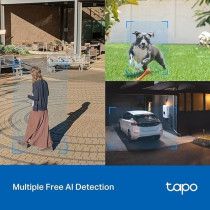 Tapo Outdoor Pan/Tilt Security Wi-Fi Camera with Smart Motion Tracking, IP66 Weatherproof, Multiple Installation Options and Voice Activated Wired/Wireless Networking, TAPO C520WS