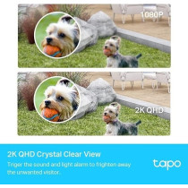 Tapo 2K 4MP Smart Wire-Free Security CCTV Camera System, 180-Day Battery Life, Full-Color Night Vision, People, Pets and Vehicle Detection, 2-Way Audio, IP65 Water and Dust Resistant, C420S2