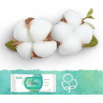 Pampers Aqua Harmony Wipes, Made Of 99% Pure Water And Fragrance Free And Alcohol-Free, Pack Of 6 x 144 Wipes (Total 864 Wipes)