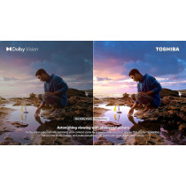 Toshiba 65 Inch 4K UHD Smart LED REGZA Engine 65C350LW (2023 Model)