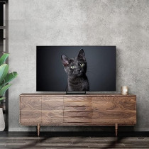 Samsung 65 Inch 4K OLED HDR Neural Quantum Processor LaserSlim Design S90C QA65S90CAUXZN