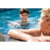 Zuru Robo Alive Great White Shark Series 1 By Zuru Robotic Shark Toy With Battery Powered Lighting Summer Pool Toy Bath