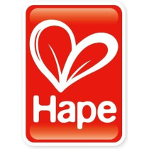 Hape Butterfly Push And Pull Toy E0340