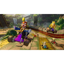 Activision Crash Team Racing: Nitro-Fueled (PS4)