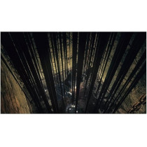 Bandai Namco Entertainment Dark Souls Trilogy (PS4)