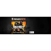 Activision Call Of Duty Black Ops 4 (PS4)