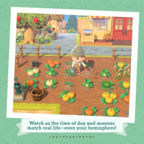 Animal Crossing: New Horizons/Switch