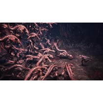 Capcom May Cry 5 Special Edition (Ps5)