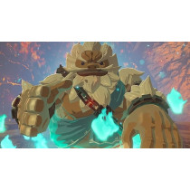 Nintendo Switch The Legend Of Zelda Breath Of The Wild Video Game