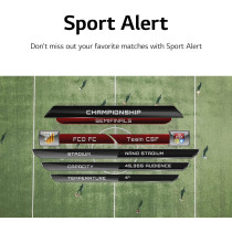 LG UHD 4K TV 65 Inch UQ8000 Series 4K Active HDR WebOS Smart AI ThinQ, 65UQ80006LD, Black