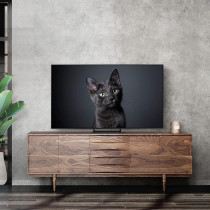 Samsung 55 Inch TV OLED S90C Neural Quantum Processor 4K LaserSlim Design, Black