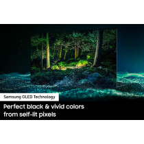Samsung 65-Inch Class OLED 4K S95B Series Quantum HDR Dolby Atmos Laser Slim Design Smart TV With Alexa Built-In