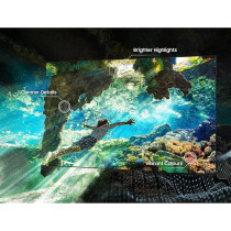 Samsung 55 Inch S90C 4K OLED HDR Smart TV