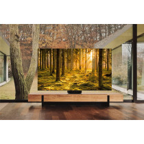 Samsung Neo QLED 8K QN800B 75 Inch Smart TV, Sand Black