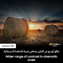 Samsung 85 Inch QLED 4K Quantum HDR LED Calibration Smart TV, Black