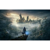 Warner Bros Video Game For Switch Hogwarts Legacy: The Legacy Of Hogwarts