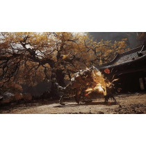 Game Science Studio PS5 Black Myth: Wukong Pegi