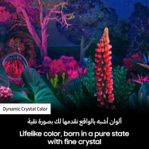 Samsung 85 Inch TV Crystal UHD 4K HDR 10+ Dynamic Crystal Color LCD LED - UA85BU8000UXZN