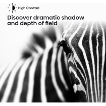 Hisense 43A4K Smart TV, Black